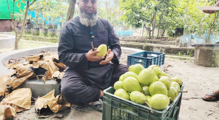 শখ থেকে বাণিজ্যিক সাফল্য রিপনের ॥ সিরাজদিখানে ১০০ প্রজাতির অ্যাভোকাডোসহ ৩২০ প্রজাতির বিদেশি ফল গাছ